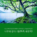 포도나무에 맺힌 포도송이와 같이 늘 주님과 동행하며, 평안과 풍요가 넘치는 복된 하루 되시길 축복 합니다. 예수님은 우리를 사랑 하십니다.