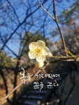 봄을 기다리며... 봄을 기다리며... - 2025 | 아름다운 꽃, 꽃, 아름다운