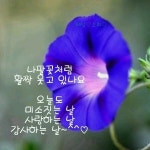 오늘도 미소 짓는 날