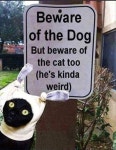 funny에 관한 69개의 최상의 Pinterest 이미지 | 12궁, Chistes 및 물고기자리 funny