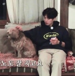 박보검 < 효리네 민박2 > 2회 180211 [ 출처 : BOGUMMYCAP https://twitter.com/BOGUMMYCAP/status/962710788782764032 ]