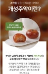 솔직히 이게 약과보다 100배 맛있음