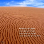 박노해의 걷는 독서 - 사막에 붉은 노을이 물들면