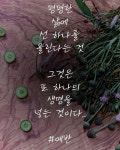 한줄 시에 있는 풀 길에서님의 핀 | 시