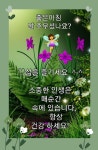 인사 공유에 있는 혜선 노님의 핀 | 꽃그림, 꽃 미학, 좋은 아침 인사