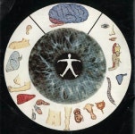 iridiologia에 관한 8개의 최상의 Pinterest 이미지 | 침술, 자연 건강 및 대체의학 iridiologia