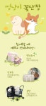 멍냥이 꽃단장_mo | 배너, 프로모션 배너, 웹디자인
