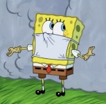 Pin de 소 소 en 스폰지밥 en 2021 | Bob esponja, Bob, Esponja