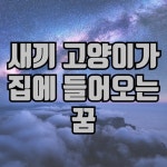 Pin page Pin on 꿈해몽