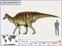 앙굴로마스타카토르 앙굴로마스타카토르 in 2024 | Prehistoric animals, Extinct animals, Dinosaur images