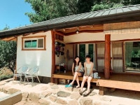 찌랭(행복한삼십) on Instagram: “올리브 만나러 하동으로 출동” - 2021 | 올리브