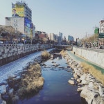 신림동