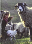 Animals에 관한 364개의 최상의 Pinterest 이미지 | 농장 동물, 염소 및 동물 Animals