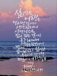 세실 캘리그라피에 있는 vdrygood님의 핀 - 2023 | 이야기, 좋은 글귀