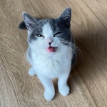 Pin page Pin by chi_ha71 on 꿍이 | Shinee, Taemin, Hate cats