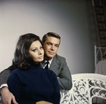 Pin de 박장호 en Sophia loren | Oceano