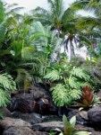 awesome 73 Cool Backyard Pond Design Ideas for You Who Likes Nature https://about-ruth.com/2017/08/29/73-cool-backyard-pond-design... 