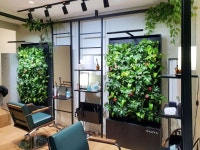 실내수직정원 나아바 헤어샵 플랜테리어 Indoor Vertical Garden NAAVA Hair Shop Planterior