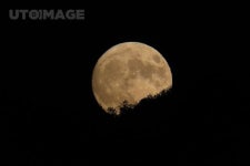 떠오르는 보름달2 kimgs4725, 사진, 떠오르다, 달, 보름달, 둥근, 어두운, 야경, 자연, 환경, 밤, 배경, 오브젝, 우주, 하늘, 오브젝트 | 보름달... 