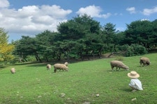 같이 다녀온 사람들과 사이가 너무 좋아져요!... 애니멀러버들에게 추천하는 동물 체험 여행지