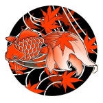 Pin page Пин на доске Goldfish 金魚 Peixe Dourado 金鱼 Poisson rouge 금붕어 Cyprin doré Pesce rosso  Goldfisch Pez... 