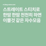 스트레이트 스티치로 한땀 한땀 천천히 하면 이쁠것 같은 자수모음 | 프랑스, 자수, 스티치