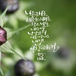 Pin page 예쁜  글씨그림 캘리그라피에 있는 핀 - 2024