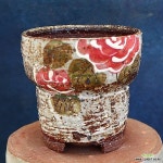 예뜰수제화분 575 - 다육화분(Succulent Pot) - 2023 | 식물, 하지