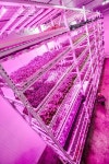 Pin page Pin by 경은 민 on Bühne für die Inspiration | Vertical farming, Aquaponics, Hydroponics