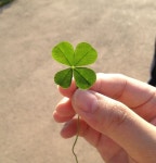 ::mint planet:: 네잎클로버 I found a four-leaf clover today. I wish you best of LUCK!! | 나뭇잎, 꽃, 복고