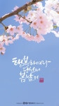 봄날 캘리그라피 봄날 캘리그라피 | 새해 카드 디자인, 손글씨, 아침 사진