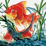#기초디자인 #art #미술 #photooftheday #photo #tomato #creative #illustrator #aquarium #… | 금붕어, 미술 구도, 그림