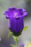 Pin van 현희 이 op 연필교재 in 2025 | Bloemen