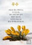 오늘은 우수입니다. - 2024 | 카드