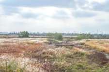 My around-picture,travel,etc에 있는 Cuslee님의 핀 - 2021