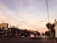 멜버른 대학교 앞 길 The road in front of Melbourne University  핑크빛 하늘  Pinky sky  평화로움 Peaceful  #멜버른 #호주여행... 