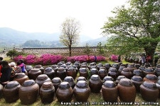 아름다운 뒷마당을 가진 조선시대 관청 예산 대흥동헌