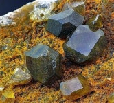 Antique 빈티지에 있는 임춘근 springroot55님의 핀 | 빈티지