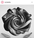 Pin by LAB미술학원_강남본원직영 인천캠퍼스 on artist CJ Hendry | Flowers, Cj hendry, Rose
