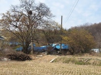 한국에 있는 김순득님의 핀 | 자연 사진, 풍경 사진, 풍경 수채화