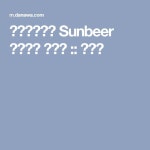 썬비어코리아 Sunbeer 프리미엄 패키지 :: 다나와 | 맥주