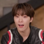 디노 dino
