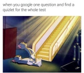 Me에 관한 604개의 최상의 Pinterest 이미지 | 웃긴 사진, 웃긴 및 웃긴 것 Me