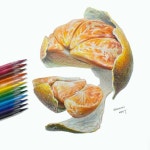 귤 색연필 드로잉 / tangerine drawing 귤 색연필 드로잉 / tangerine drawing in 2024 | Colored pencil techniques, Color pencil... 