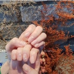 • Nail Design 은은하게 또는 고급지게! 금박네일 : 네이버 블로그 | 네일아트, 네일, 블로그