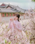 모아한복 Moa Hanbok | 고궁에는 벚꽃이 🌸 50% 정도... 봄철 한복과 함께 나들이는 어떠실까요? 👘🌞 ⸻ The cherry blossoms at the...... 