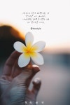 책글귀에 있는 Nabi Sonyeo님의 핀 | 최고의 명언, 좋은 말, 배경