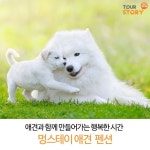 #멍스테이펜션 #고성멍스테이펜션 #고성숙소 #고성숙소추천 #애견펜션 #애견펜션추천#감성숙소 #고성펜션 #천진해변 #천진해수욕장 #고성펜션추천... 