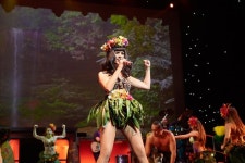 레전드 인 콘서트 락어훌라  Legends in Concert Rock-a-Hula | 콘서트