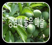 우리농업 희망찾기님의 스토리 | 약초, 건강식품, 건강